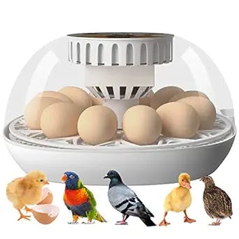 HBOOR 12 Egg Incubator，incubators for Hatching Eggs，Egg Incubator with Automatic Egg Turning, Chicken Incubator，for Hatching Chicken Goose Quail Duck,360 Degree View