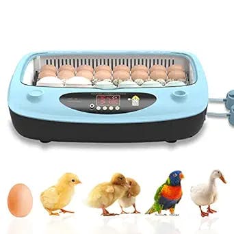 Hatch Your Dreams with Ipaoobvud Egg Incubators: A Review by Egg-Free Cook 